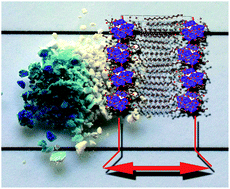 Graphical abstract: Photomechanical photochromism in a cetyltrimethylammonium isopolytungstate