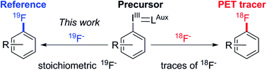 Graphical abstract: Transition metal free, late-stage, regiospecific, aromatic fluorination on a preparative scale using a KF/crypt-222 complex