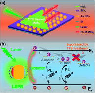 Graphical abstract: Synergetic photoluminescence enhancement of monolayer MoS2 via surface plasmon resonance and defect repair