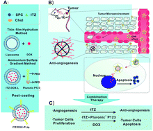 Graphical abstract: Co-delivery of doxorubicin and itraconazole by Pluronic® P123 coated liposomes to enhance the anticancer effect in breast cancers