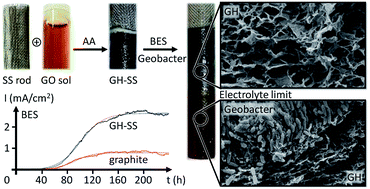 Graphical abstract: Development and characterisation of self-assembled graphene hydrogel-based anodes for bioelectrochemical systems