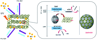 Graphical abstract: A separation-free 3D network ZnO/rGO–rGH hydrogel: adsorption enriched photocatalysis for environmental applications