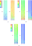 Graphical abstract: Factorial design analysis of parameters for the sorption-enhanced steam reforming of ethanol in a circulating fluidized bed riser using CFD