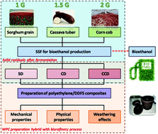 Graphical abstract: Feasibility of polyethylene composites reinforced by distillers dried fibers with solubles (DDFS) after different generations of ethanol fermentation