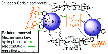 Graphical abstract: Hexavalent chromium ion and methyl orange dye uptake via a silk protein sericin–chitosan conjugate