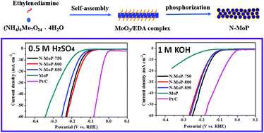 Graphical abstract: Surface engineering-modulated porous N-doped rod-like molybdenum phosphide catalysts: towards high activity and stability for hydrogen evolution reaction over a wide pH range
