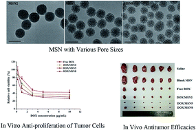 Graphical abstract: Effects of pore size on in vitro and in vivo anticancer efficacies of mesoporous silica nanoparticles