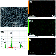 Graphical abstract: Fabrication of strontium/calcium containing poly(γ-glutamic acid) – organosiloxane fibrous hybrid materials for osteoporotic bone regeneration