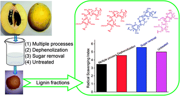 Graphical abstract: Acetic acid lignins from Chinese quince fruit (Chaenomeles sinensis): effect of pretreatment on their structural features and antioxidant activities