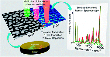 Graphical abstract: Large-scale self-organized gold nanostructures with bidirectional plasmon resonances for SERS