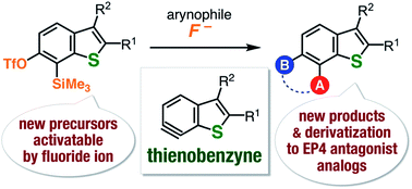 Graphical abstract: Expanding the synthesizable multisubstituted benzo[b]thiophenes via 6,7-thienobenzynes generated from o-silylaryl triflate-type precursors