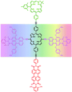 Graphical abstract: Synthesis of arrays containing porphyrin, chlorin, and perylene-imide constituents for panchromatic light-harvesting and charge separation