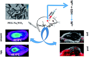 Graphical abstract: Development of tungsten bronze nanorods for redox-enhanced photoacoustic imaging-guided photothermal therapy of tumors