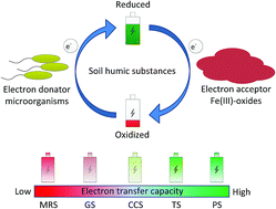 Graphical abstract: Responses of the electron transfer capacity of soil humic substances to agricultural land-use types