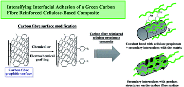 Graphical abstract: Carbon fibre reinforced cellulose-based polymers: intensifying interfacial adhesion between the fibre and the matrix