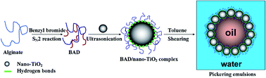 Graphical abstract: Synthesis of a benzyl-grafted alginate derivative and its effect on the colloidal stability of nanosized titanium dioxide aqueous suspensions for Pickering emulsions