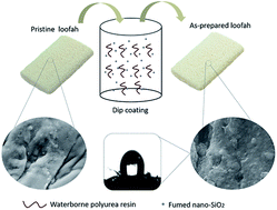 Graphical abstract: Biomimetic fabrication of superhydrophobic loofah sponge: robust for highly efficient oil–water separation in harsh environments