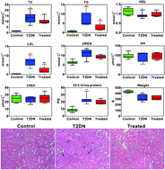 Graphical abstract: Combined systems pharmacology and fecal metabonomics to study the biomarkers and therapeutic mechanism of type 2 diabetic nephropathy treated with Astragalus and Leech