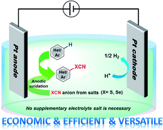 Graphical abstract: A low-cost electrochemical thio- and selenocyanation strategy for electron-rich arenes under catalyst- and oxidant-free conditions