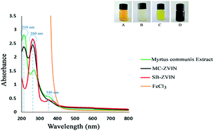 Graphical abstract: Green synthesis of safe zero valent iron nanoparticles by Myrtus communis leaf extract as an effective agent for reducing excessive iron in iron-overloaded mice, a thalassemia model