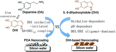 Graphical abstract: In situ insights into the nanoscale deposition of 5,6-dihydroxyindole-based coatings and the implications on the underwater adhesion mechanism of polydopamine coatings