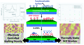 Graphical abstract: Stable polymer brushes with effectively varied grafting density synthesized from highly crosslinked random copolymer thin films