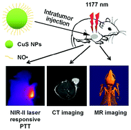 Graphical abstract: Nitroxide radical-modified CuS nanoparticles for CT/MRI imaging-guided NIR-II laser responsive photothermal cancer therapy