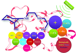 Graphical abstract: Anticancer activities of a β-amino alcohol ligand and nanoparticles of its copper(ii) and zinc(ii) complexes evaluated by experimental and theoretical methods