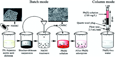 Graphical abstract: Lead (Pb2+) sorptive removal using chitosan-modified biochar: batch and fixed-bed studies