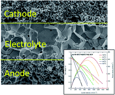 Graphical abstract: Evaluation of thin film fuel cells with Zr-rich BaZrxCe0.8−xY0.2O3−δ electrolytes (x ≥ 0.4) fabricated by a single-step reactive sintering method
