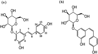 Graphical abstract: Photostability and antioxidant activity studies on the inclusion complexes of trans-polydatin with β-cyclodextrin and derivatives