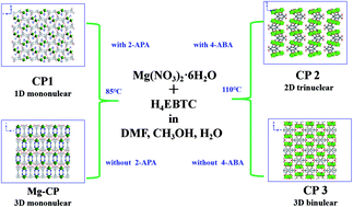 Graphical abstract: Dimensionality of luminescent coordination polymers of magnesium ions and 1,1′-ethynebenzene-3,3′,5,5′-tetracarboxylic acid modulated by structural inducing agents