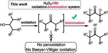 Graphical abstract: A H2O2/HBr system – several directions but one choice: oxidation–bromination of secondary alcohols into mono- or dibromo ketones