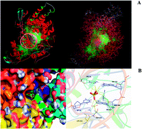 Graphical abstract: Network pharmacology combined with functional metabolomics discover bile acid metabolism as a promising target for mirabilite against colorectal cancer