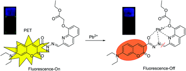 Graphical abstract: A highly sensitive and selective chemosensor for Pb2+ based on quinoline–coumarin