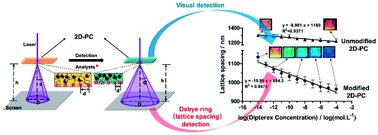 Graphical abstract: Acetylcholinesterase-functionalized two-dimensional photonic crystals for the detection of organophosphates