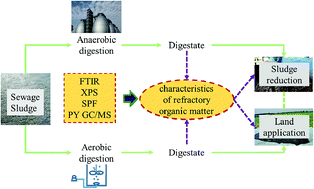Graphical abstract: Molecular characteristics of the refractory organic matter in the anaerobic and aerobic digestates of sewage sludge