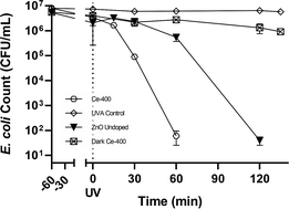 Graphical abstract: Inactivation of an urban wastewater indigenous Escherichia coli strain by cerium doped zinc oxide photocatalysis