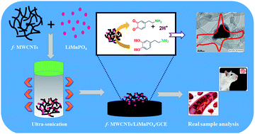 Graphical abstract: Carbon supported olivine type phosphate framework: a promising electrocatalyst for sensitive detection of dopamine