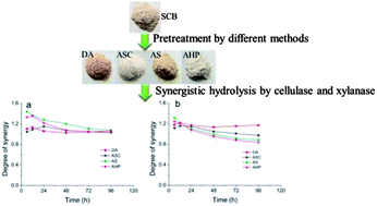 Graphical abstract: Comparison of different pretreatments on the synergistic effect of cellulase and xylanase during the enzymatic hydrolysis of sugarcane bagasse