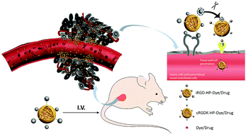 Graphical abstract: An iRGD peptide conjugated heparin nanocarrier for gastric cancer therapy