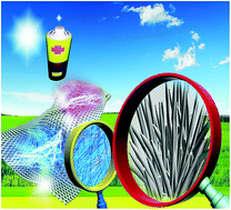 Graphical abstract: Surface phosphation of 3D mesoporous NiCo2O4 nanowire arrays as bifunctional anodes for lithium and sodium ion batteries