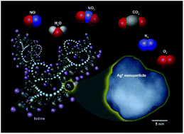 Graphical abstract: Silver-functionalized silica aerogel: towards an understanding of aging on iodine sorption performance