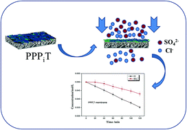 Graphical abstract: A novel nanofiltration membrane inspired by an asymmetric porous membrane for selective fractionation of monovalent anions in electrodialysis