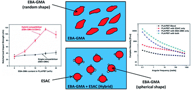 Graphical abstract: Tuning the compatibility to achieve toughened biobased poly(lactic acid)/poly(butylene terephthalate) blends