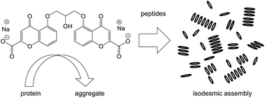 Graphical abstract: Cromoglycate mesogen forms isodesmic assemblies promoted by peptides and induces aggregation of a range of proteins