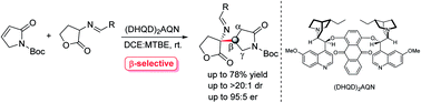 Graphical abstract: Direct β-selectivity of α,β-unsaturated γ-butyrolactam for asymmetric conjugate additions in an organocatalytic manner