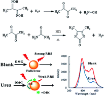 Graphical abstract: A facile and highly sensitive resonance Rayleigh scattering-energy transfer method for urea using a fullerene probe