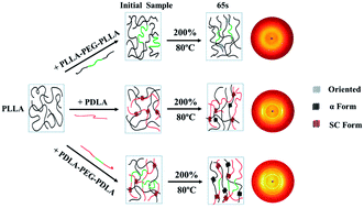 Graphical abstract: Effect of stereocomplex crystal and flexible segments on the crystallization and tensile behavior of poly(l-lactide)