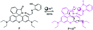 Graphical abstract: Al(iii)-responsive “off–on” chemosensor based on rhodamine derivative and its application in cell imaging